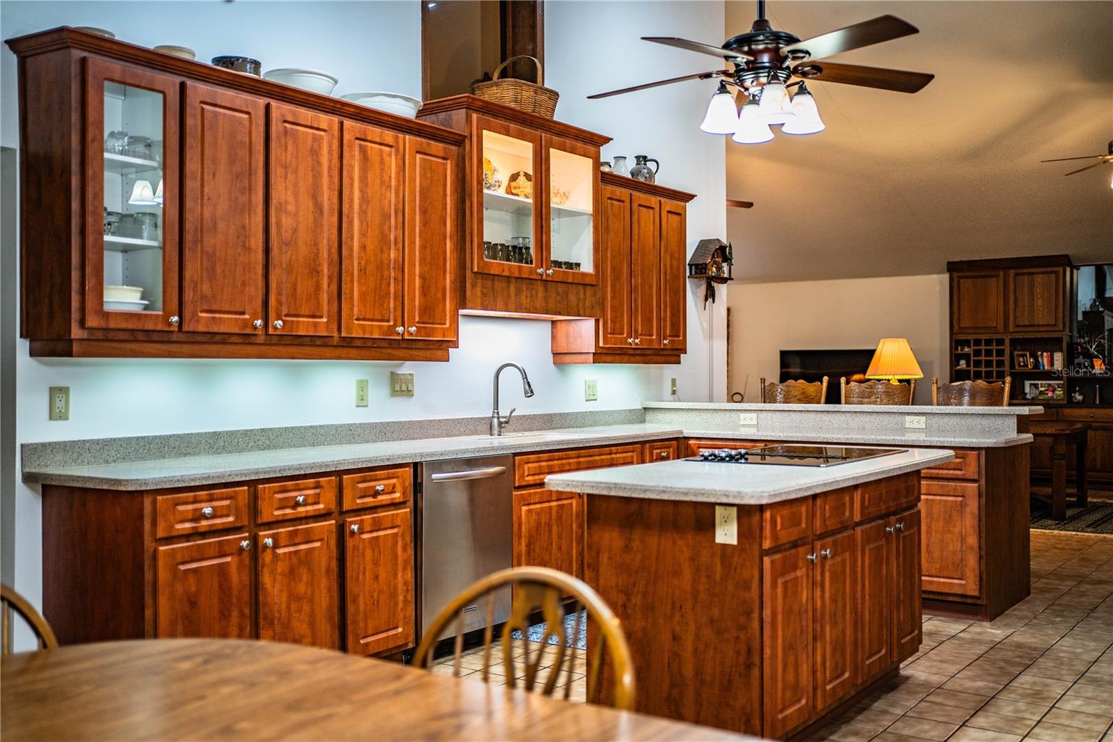 309 HIDDEN LAKE DR, BRANDON, FL, 33511