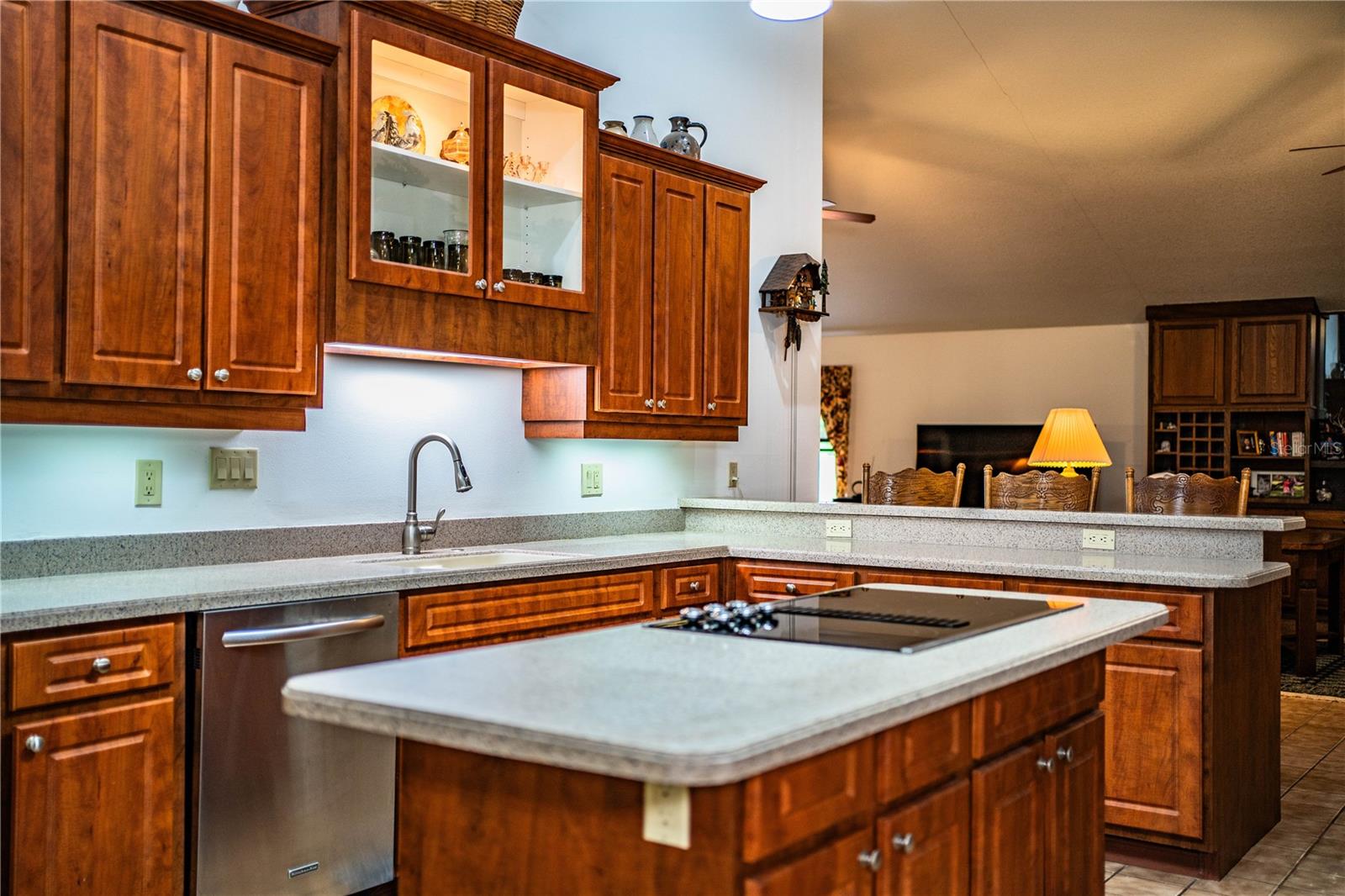 309 HIDDEN LAKE DR, BRANDON, FL, 33511