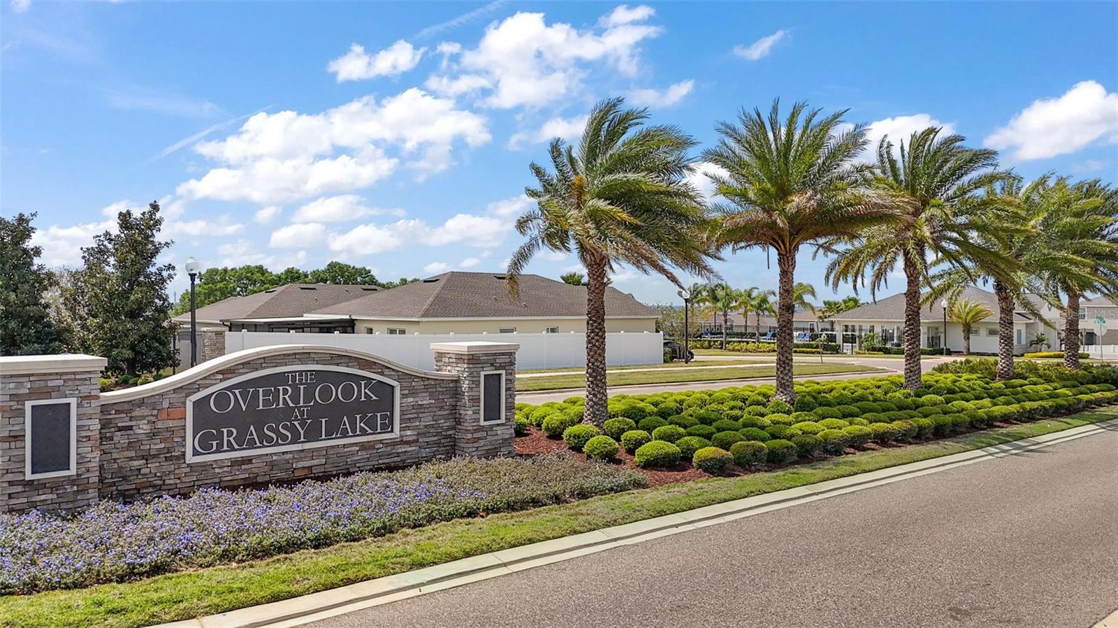 3193 HILL POINT ST, MINNEOLA, FL, 34715