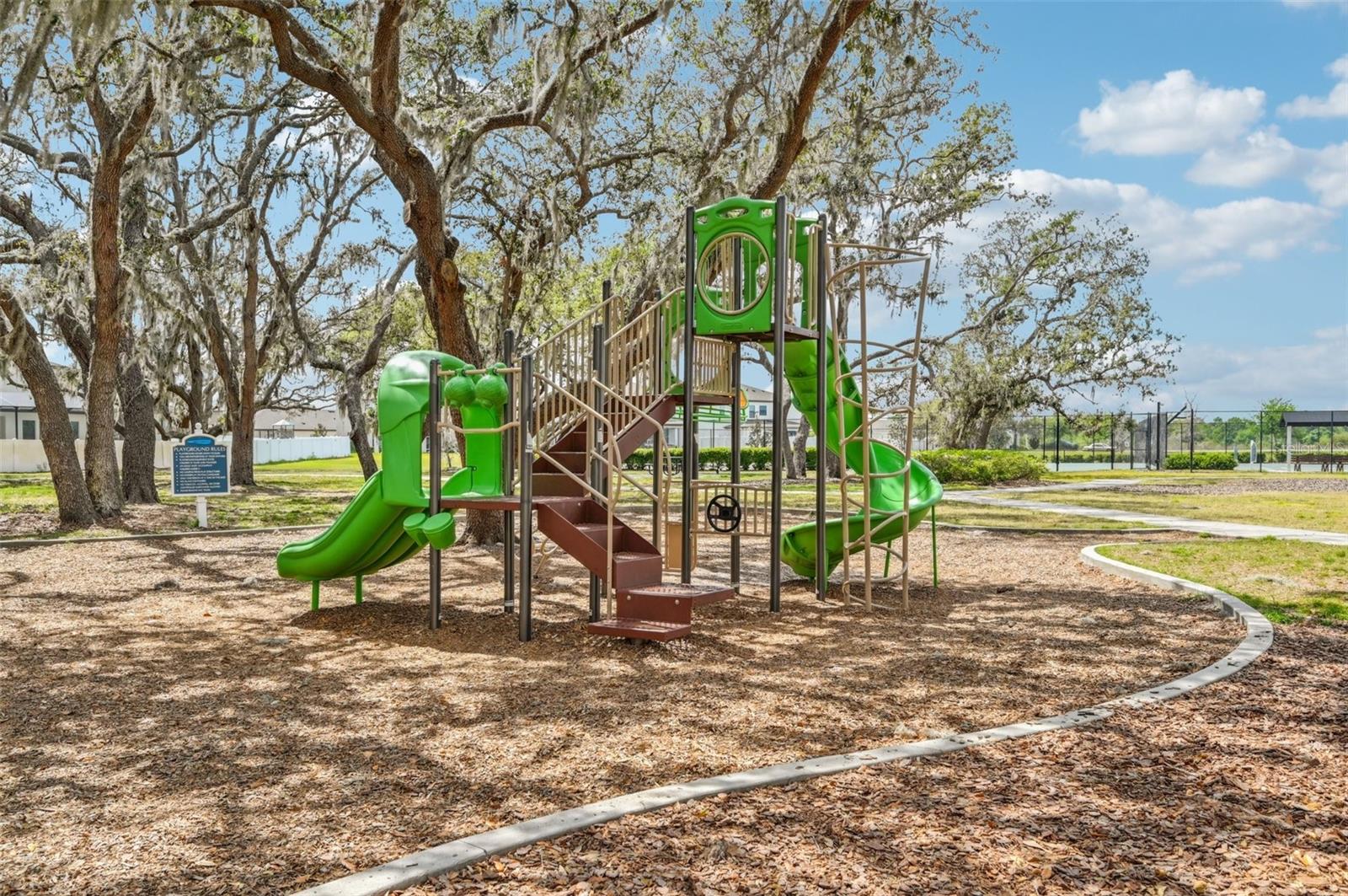 13029 MAJESTIC GARDEN LN, RIVERVIEW, FL, 33579