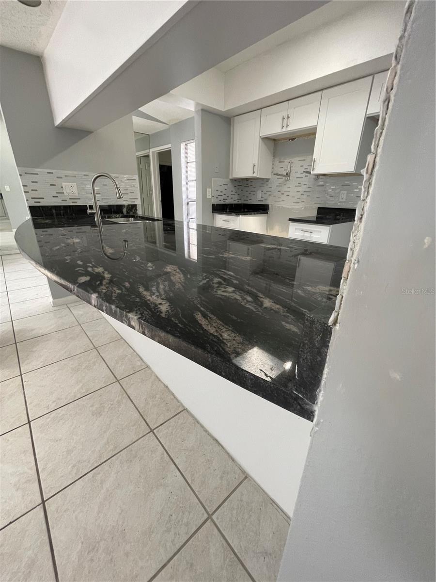 130 TENDRING CIR, PALM HARBOR, FL, 34683