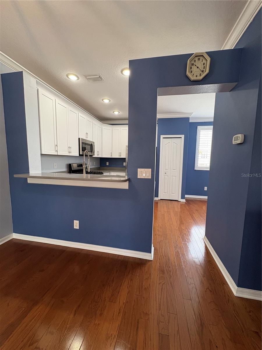 1407 HARBOUR WALK RD, TAMPA, FL, 33602