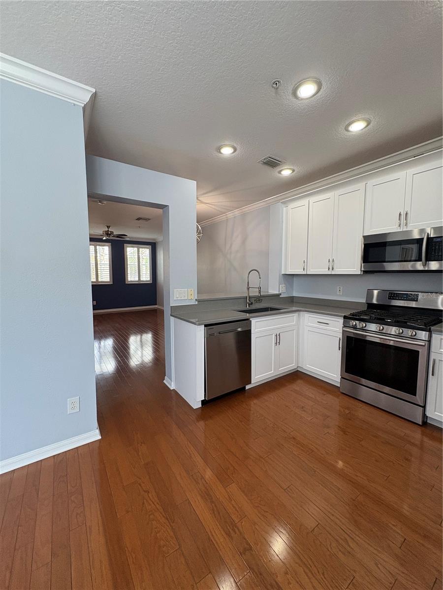 1407 HARBOUR WALK RD, TAMPA, FL, 33602