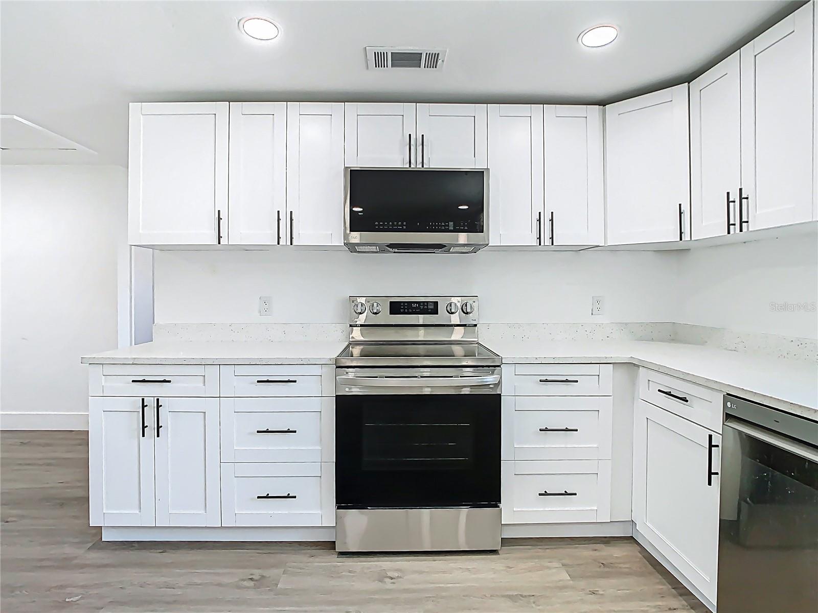 1209 W CAMELLIA DR, BRANDON, FL, 33510