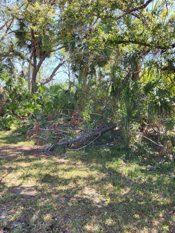 1 DE LEON DR, NORTH PORT, FL, 34287