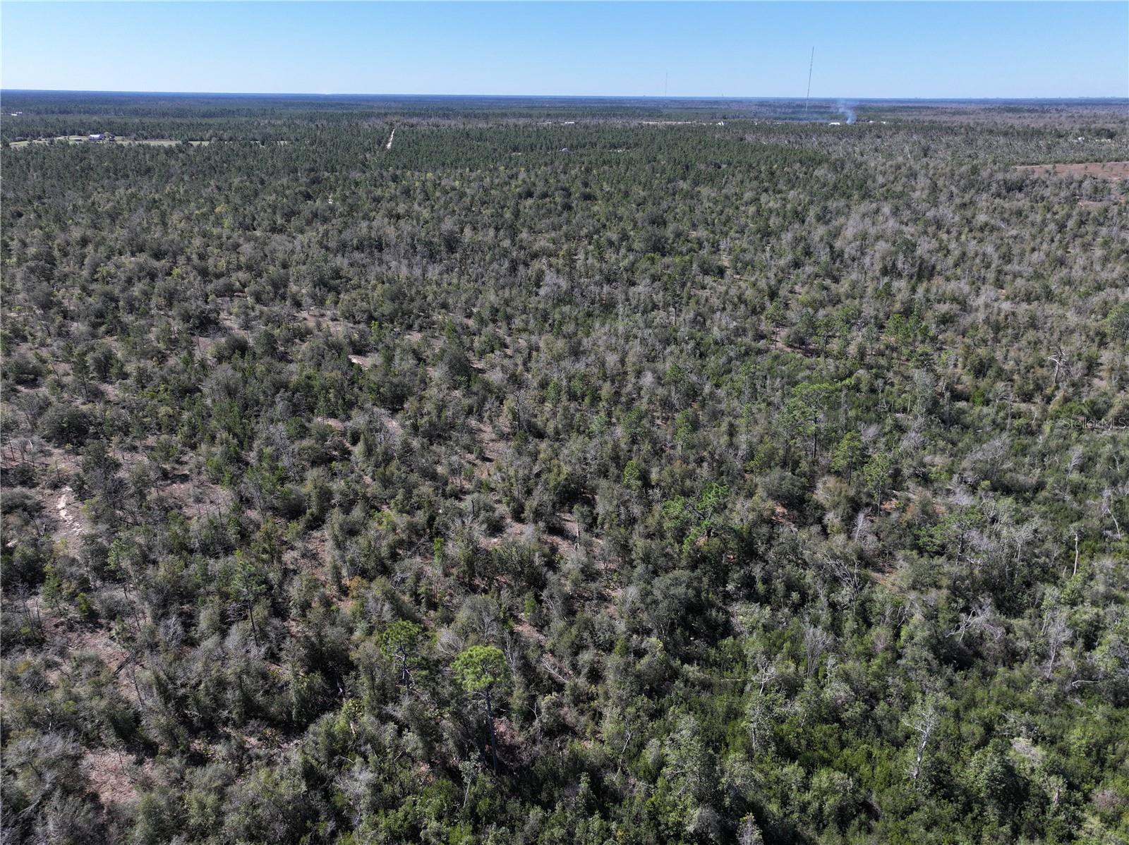 HIGHWAY 20, YOUNGSTOWN, FL, 32466