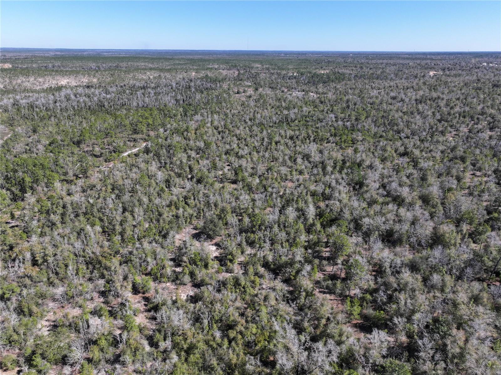 HIGHWAY 20, YOUNGSTOWN, FL, 32466