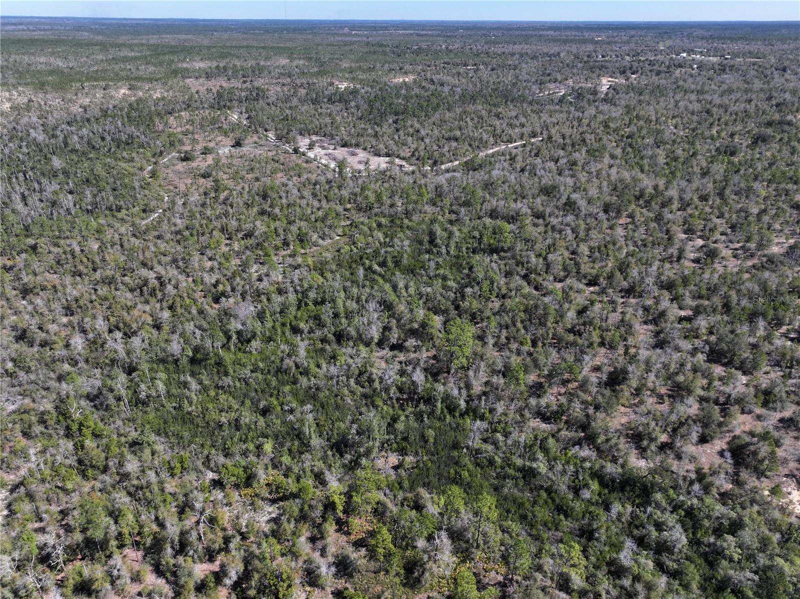 HIGHWAY 20, YOUNGSTOWN, FL, 32466