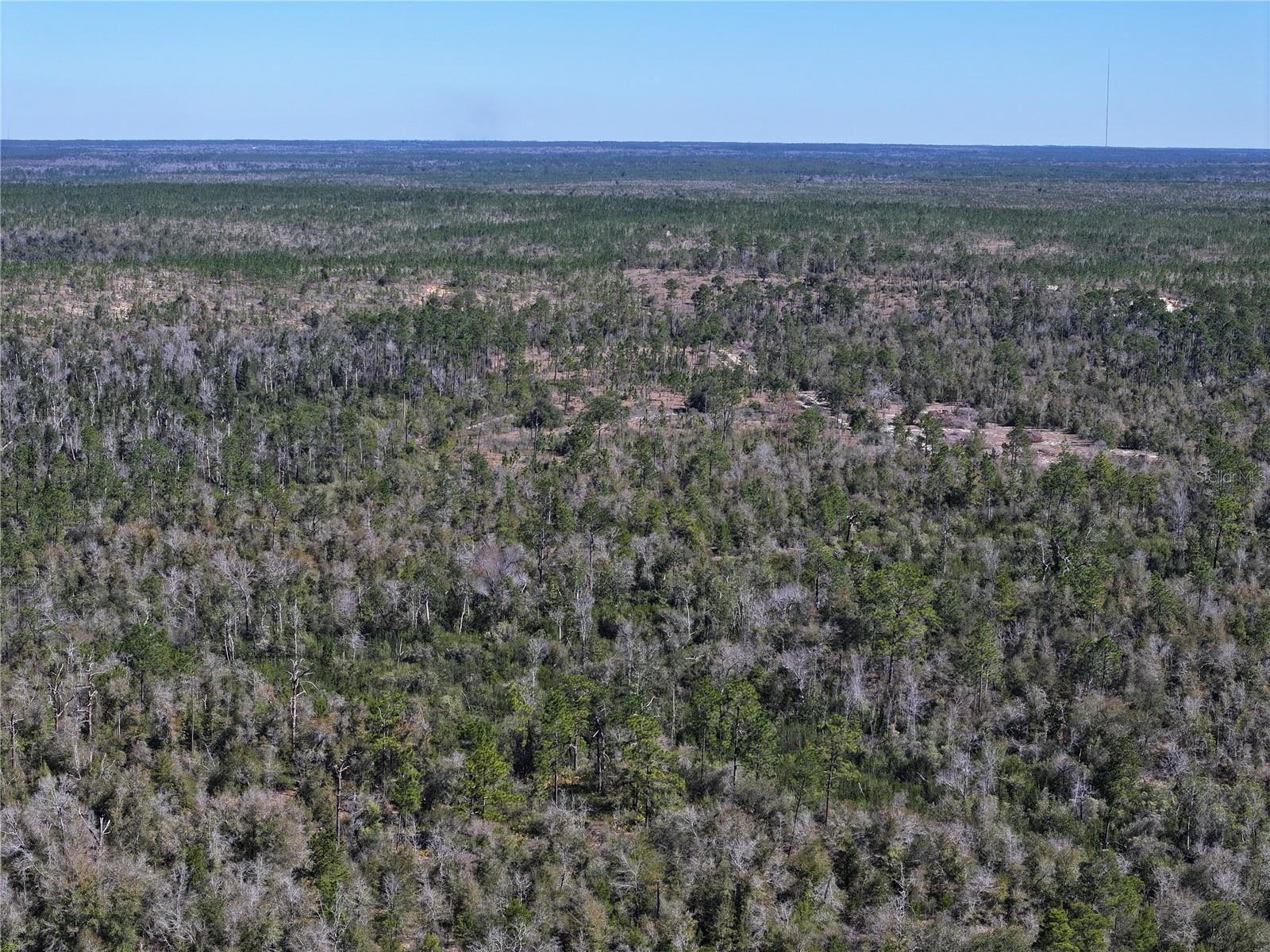 HIGHWAY 20, YOUNGSTOWN, FL, 32466