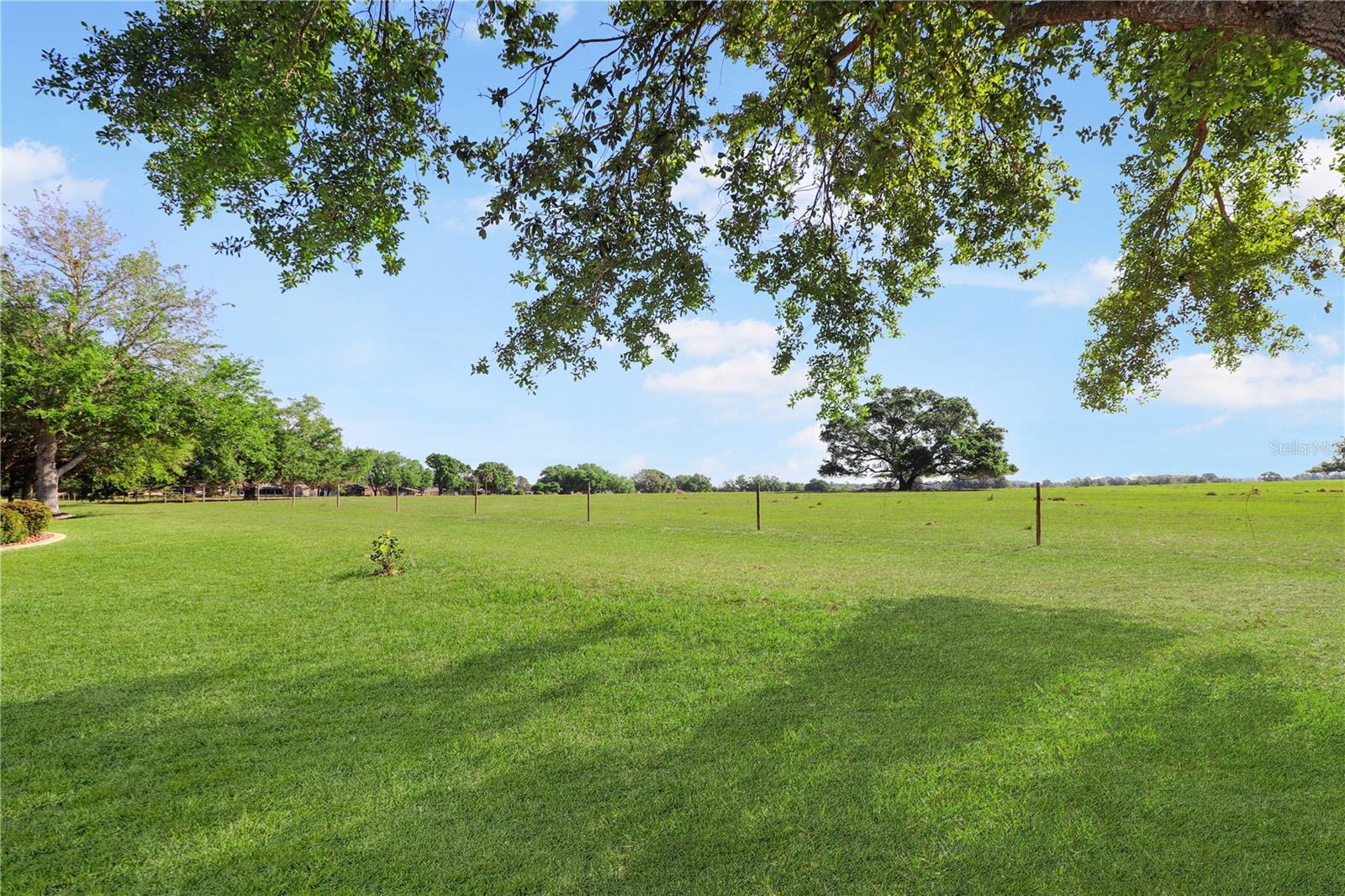 20846 QUEEN ALEXANDRA DR, LEESBURG, FL, 34748