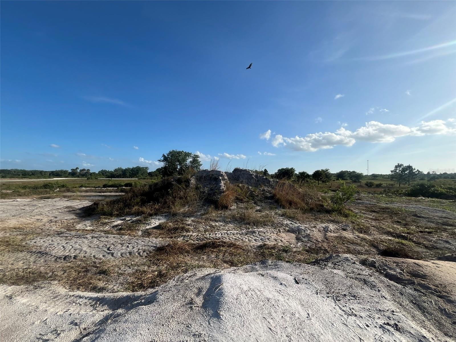 16058 NW 290TH ST, OKEECHOBEE, FL, 34972