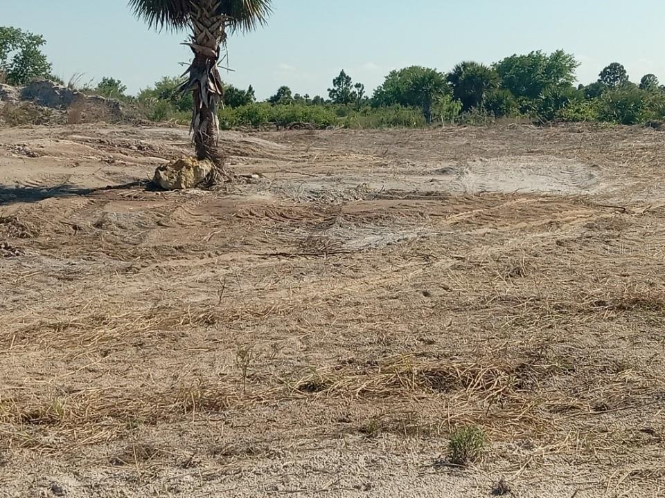 16058 NW 290TH ST, OKEECHOBEE, FL, 34972