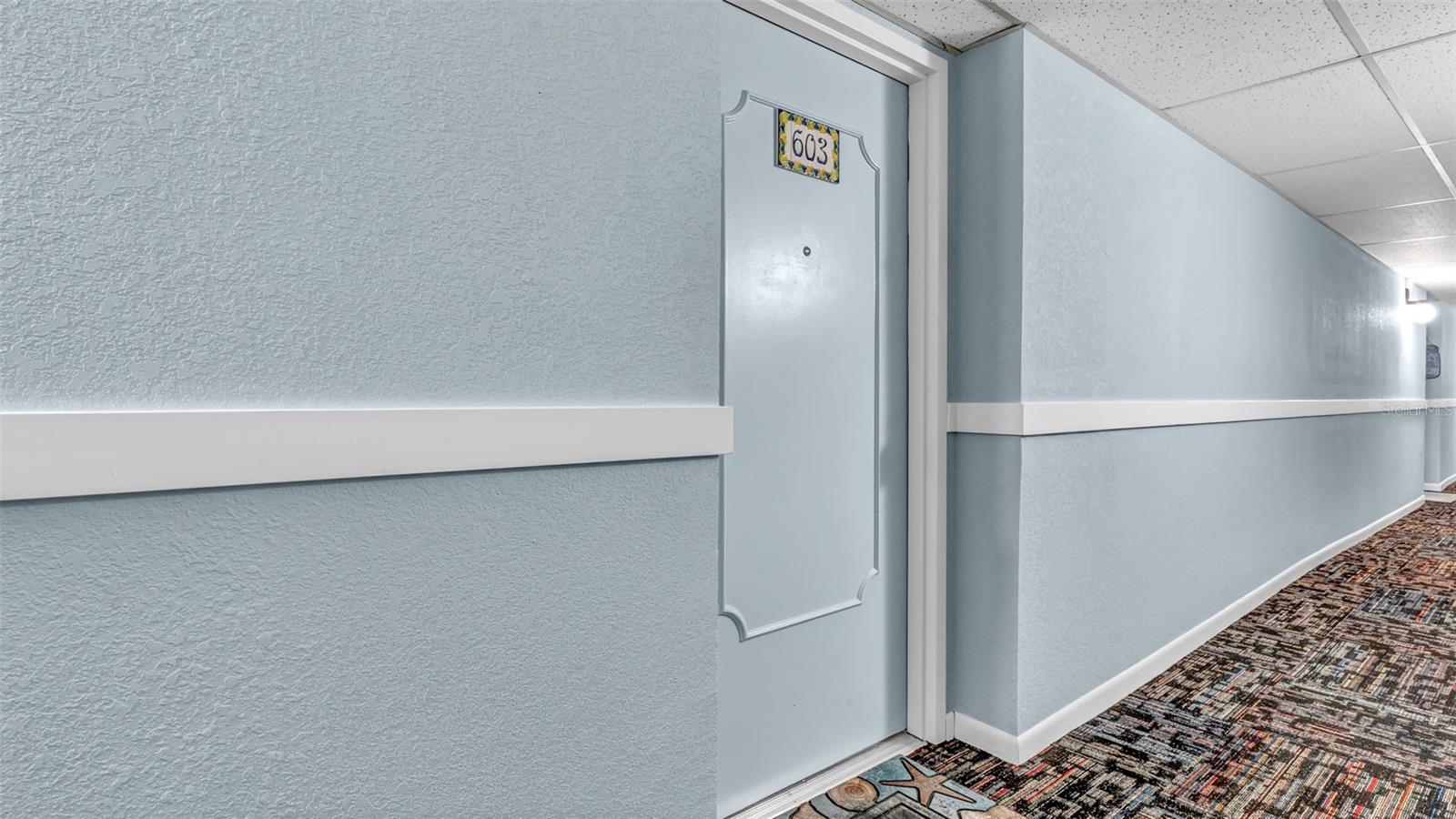 10216 REGAL DR #603, LARGO, FL, 33774