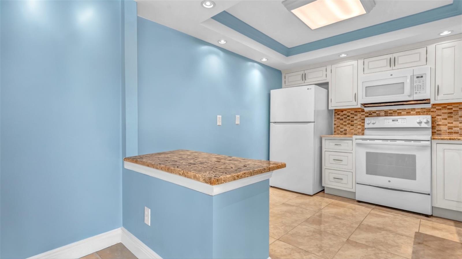 10216 REGAL DR #603, LARGO, FL, 33774