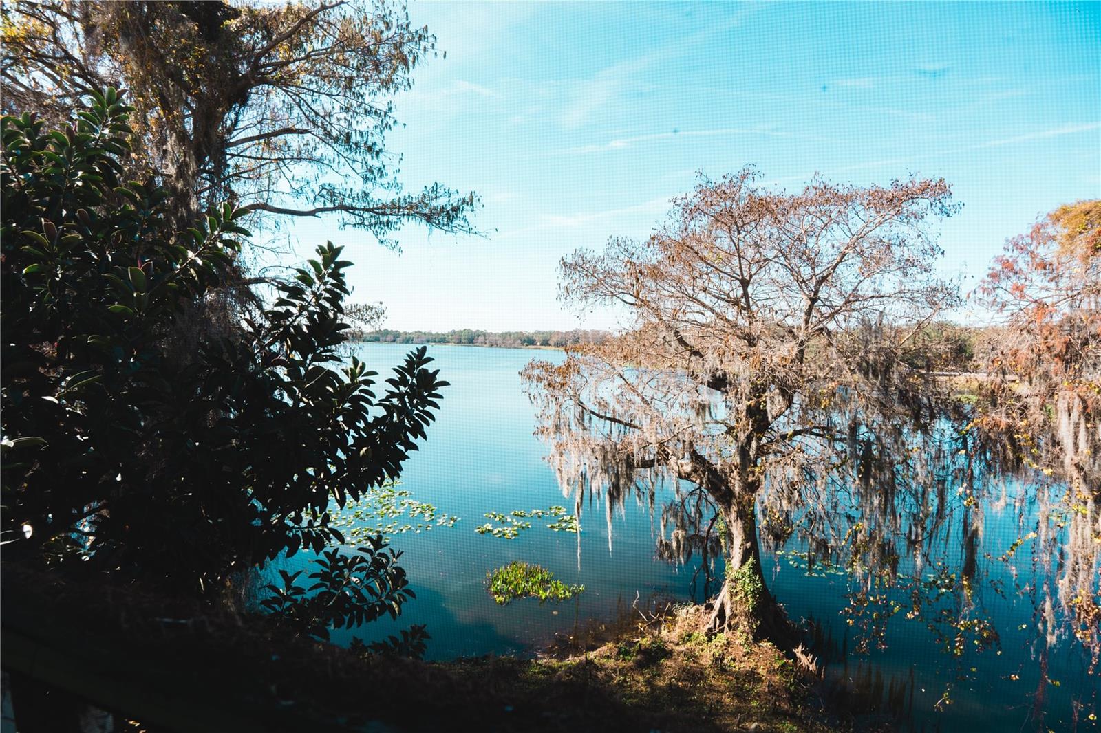 4162 VERSAILLES DR #4162D, ORLANDO, FL, 32808