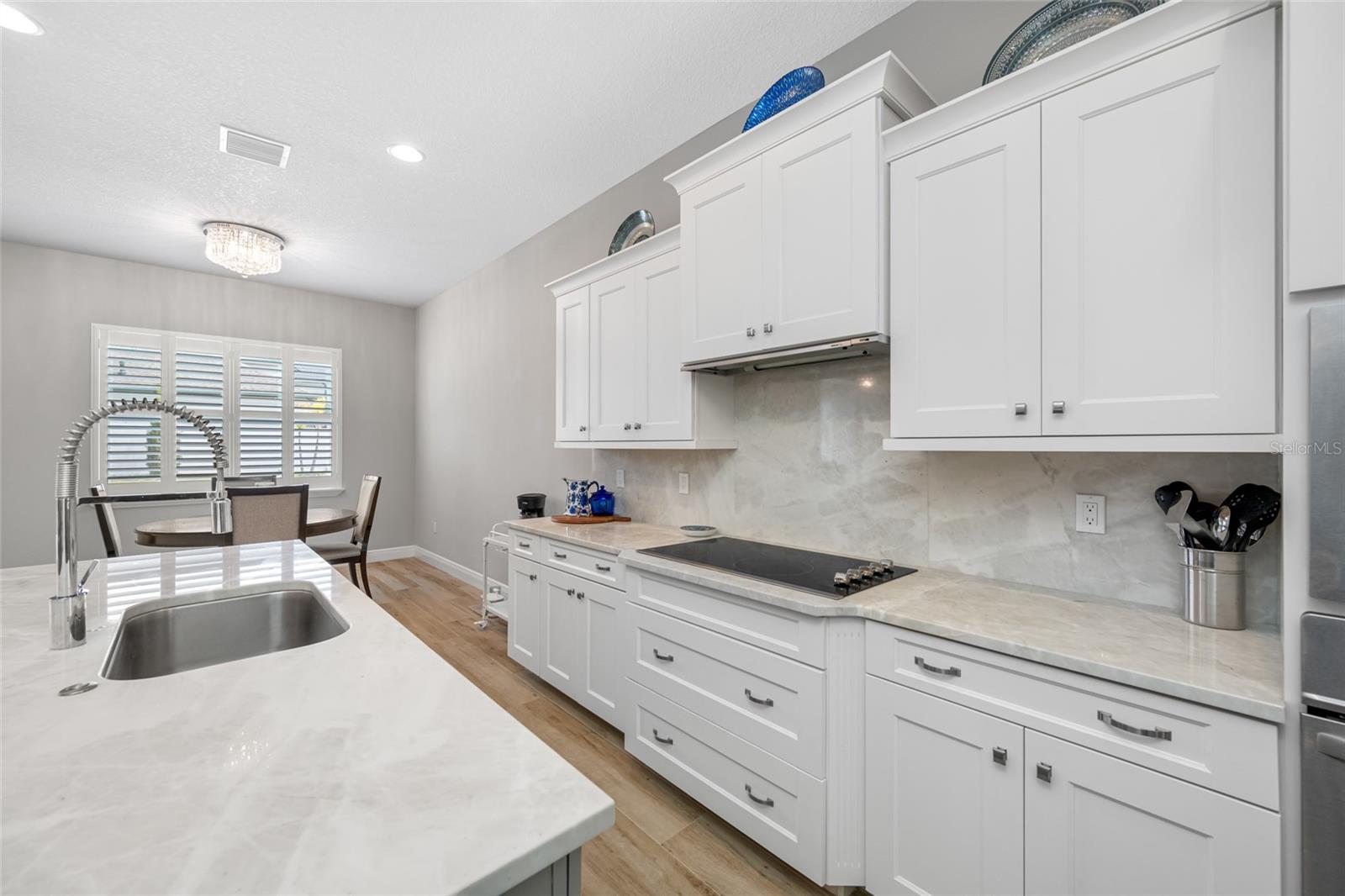 12501 EAGLES ENTRY DR, ODESSA, FL, 33556