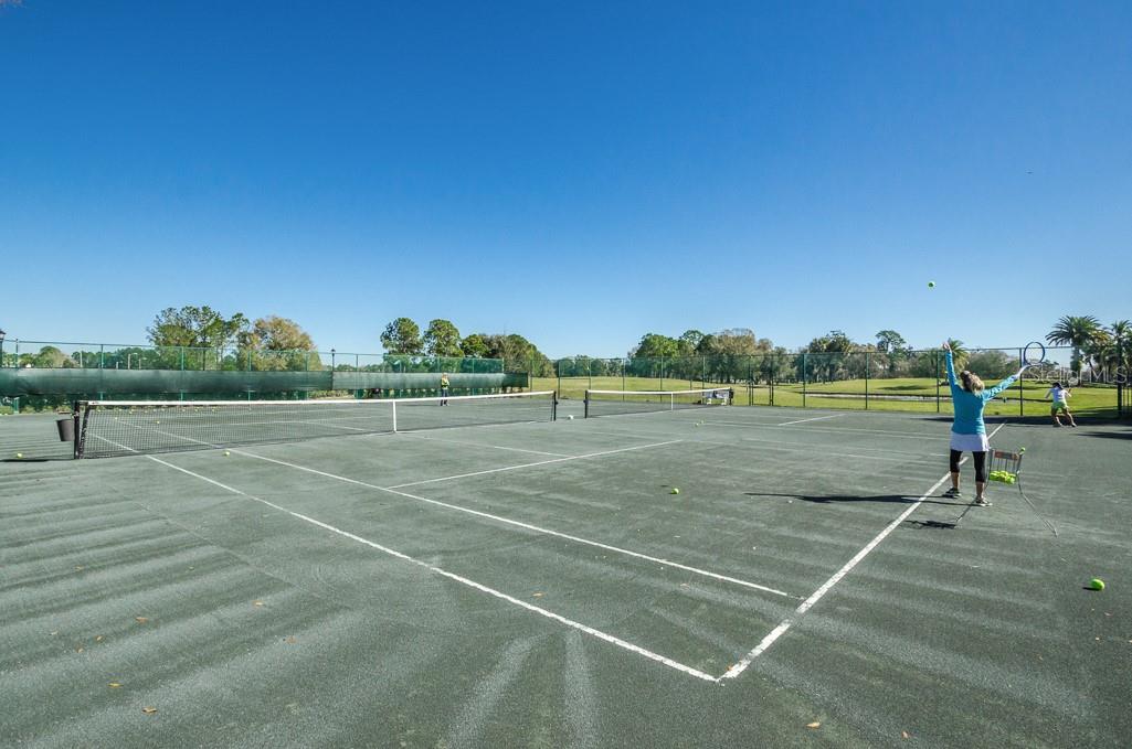 12501 EAGLES ENTRY DR, ODESSA, FL, 33556