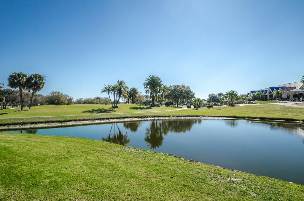 12501 EAGLES ENTRY DR, ODESSA, FL, 33556