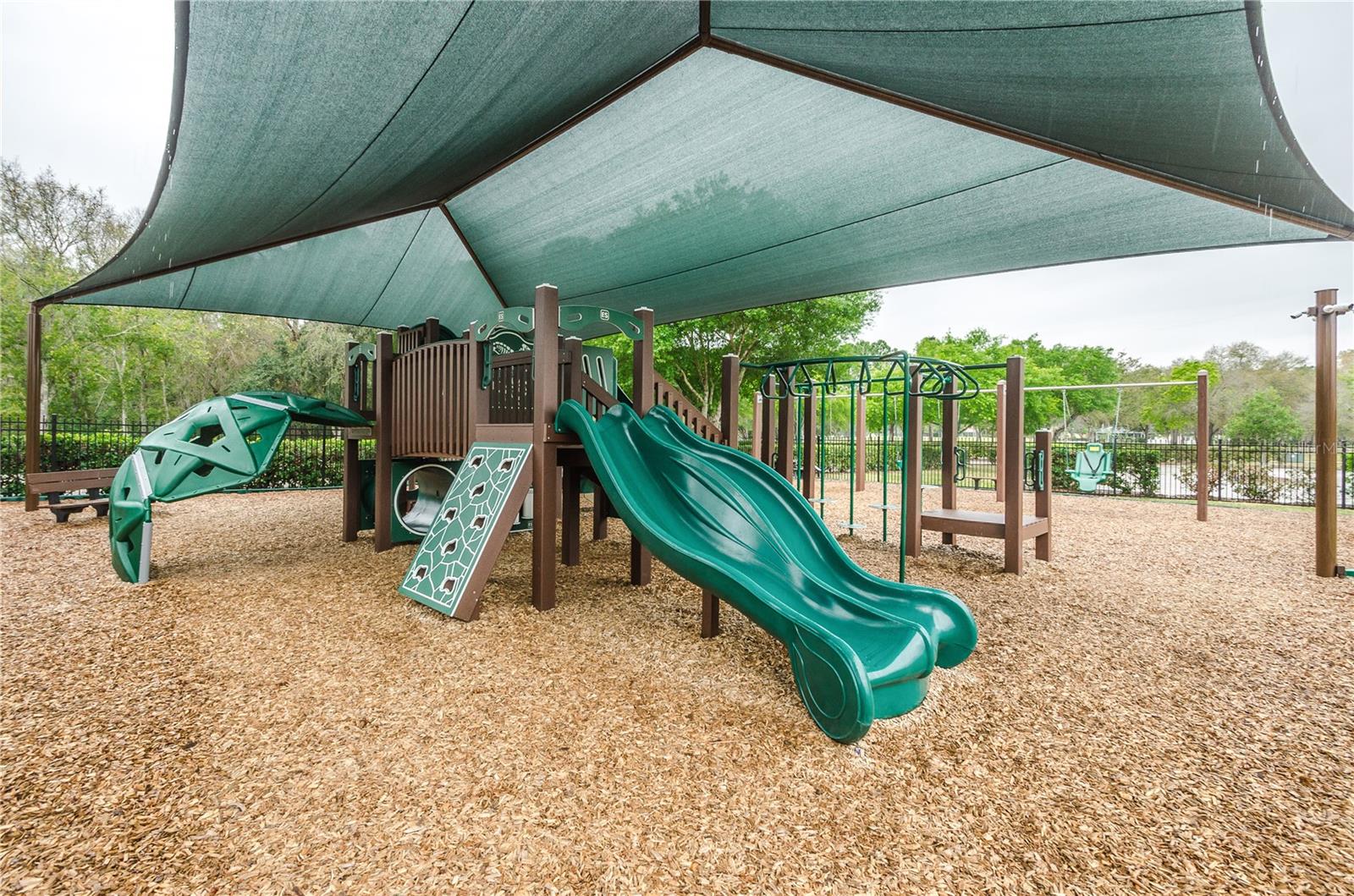 12501 EAGLES ENTRY DR, ODESSA, FL, 33556