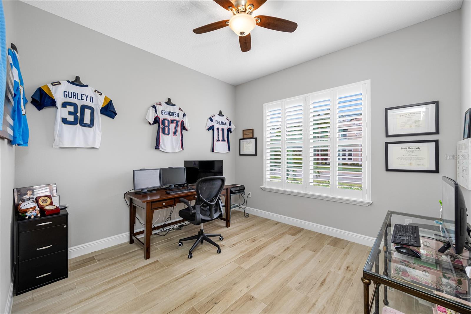 12501 EAGLES ENTRY DR, ODESSA, FL, 33556