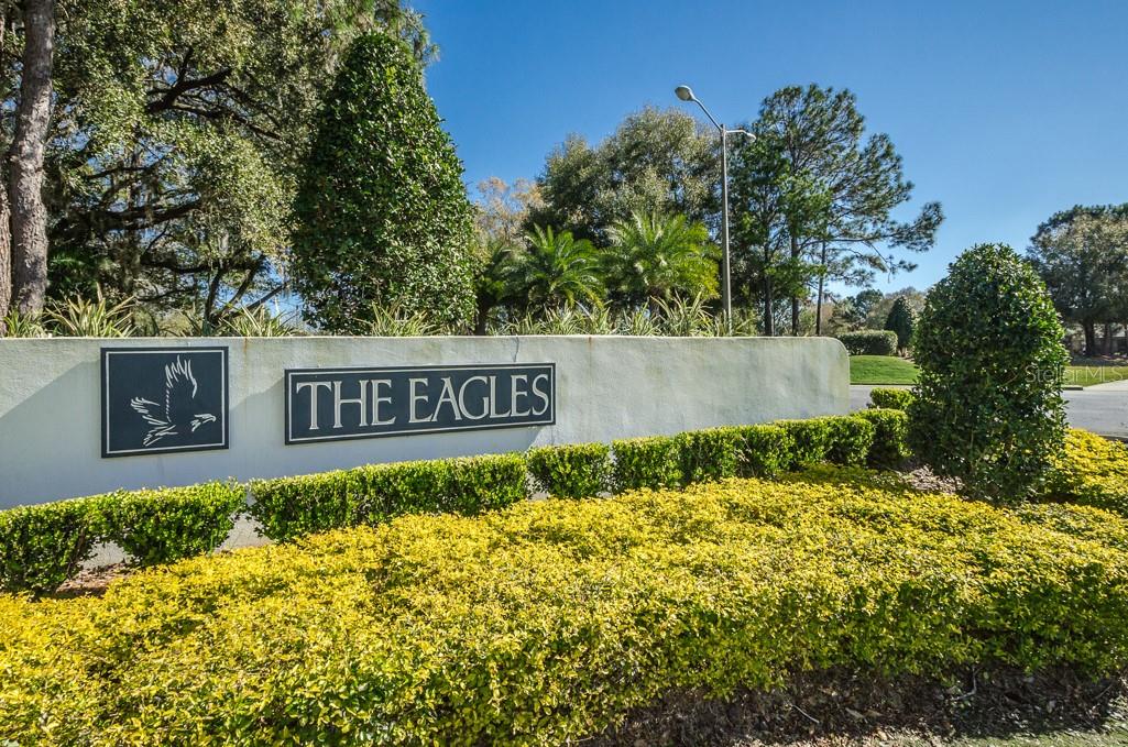 12501 EAGLES ENTRY DR, ODESSA, FL, 33556