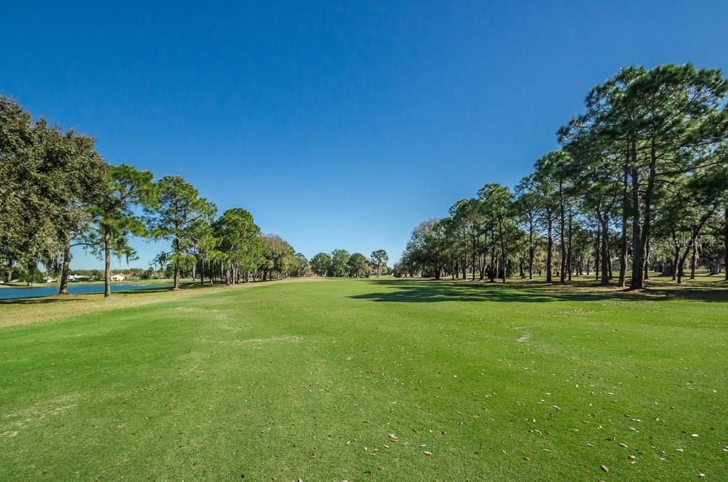 12501 EAGLES ENTRY DR, ODESSA, FL, 33556