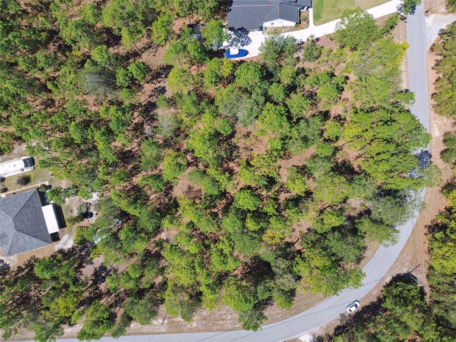 4908 N BUFFALO DR, BEVERLY HILLS, FL, 34465