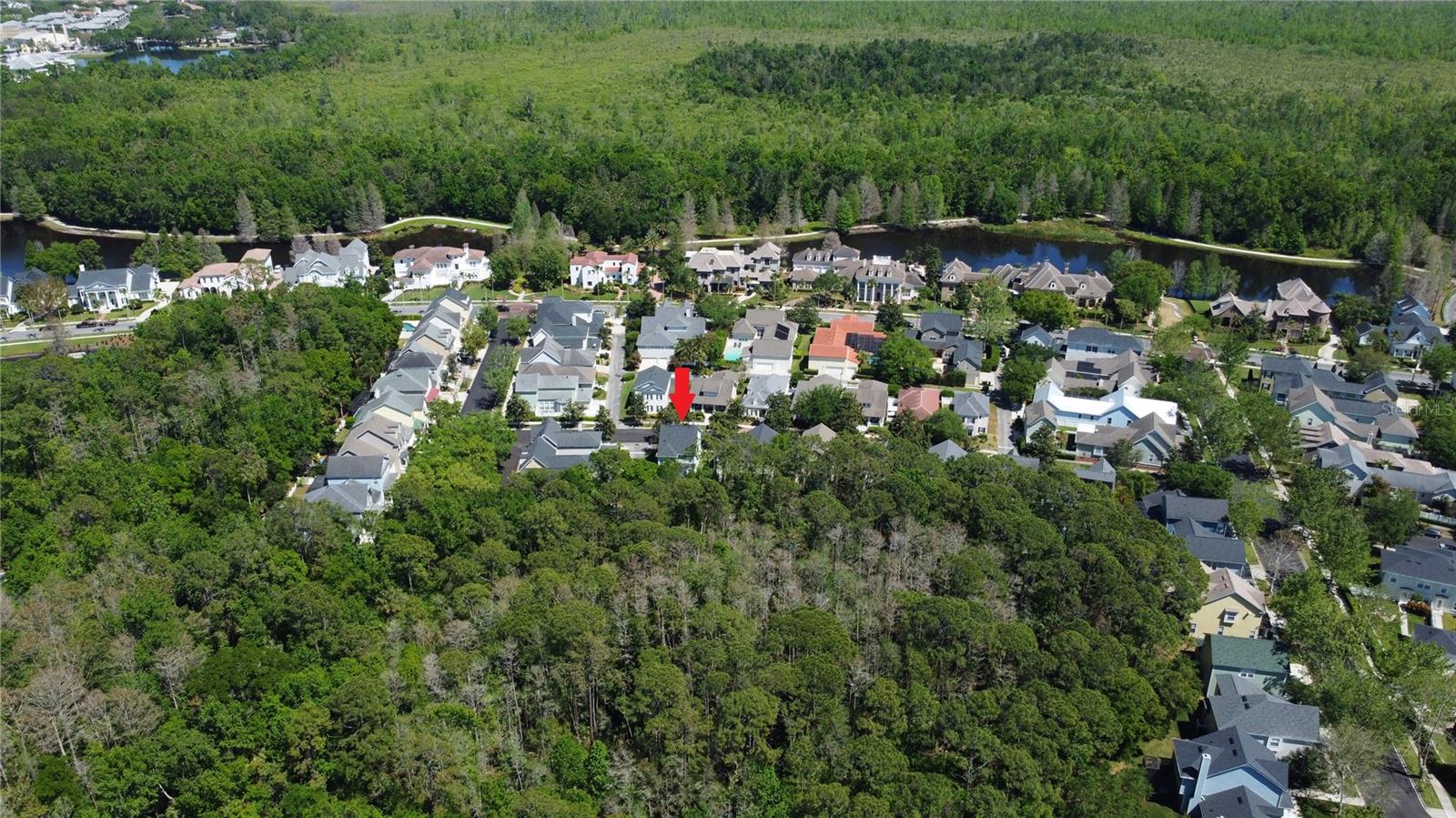 802 RUNNER OAK ST, CELEBRATION, FL, 34747