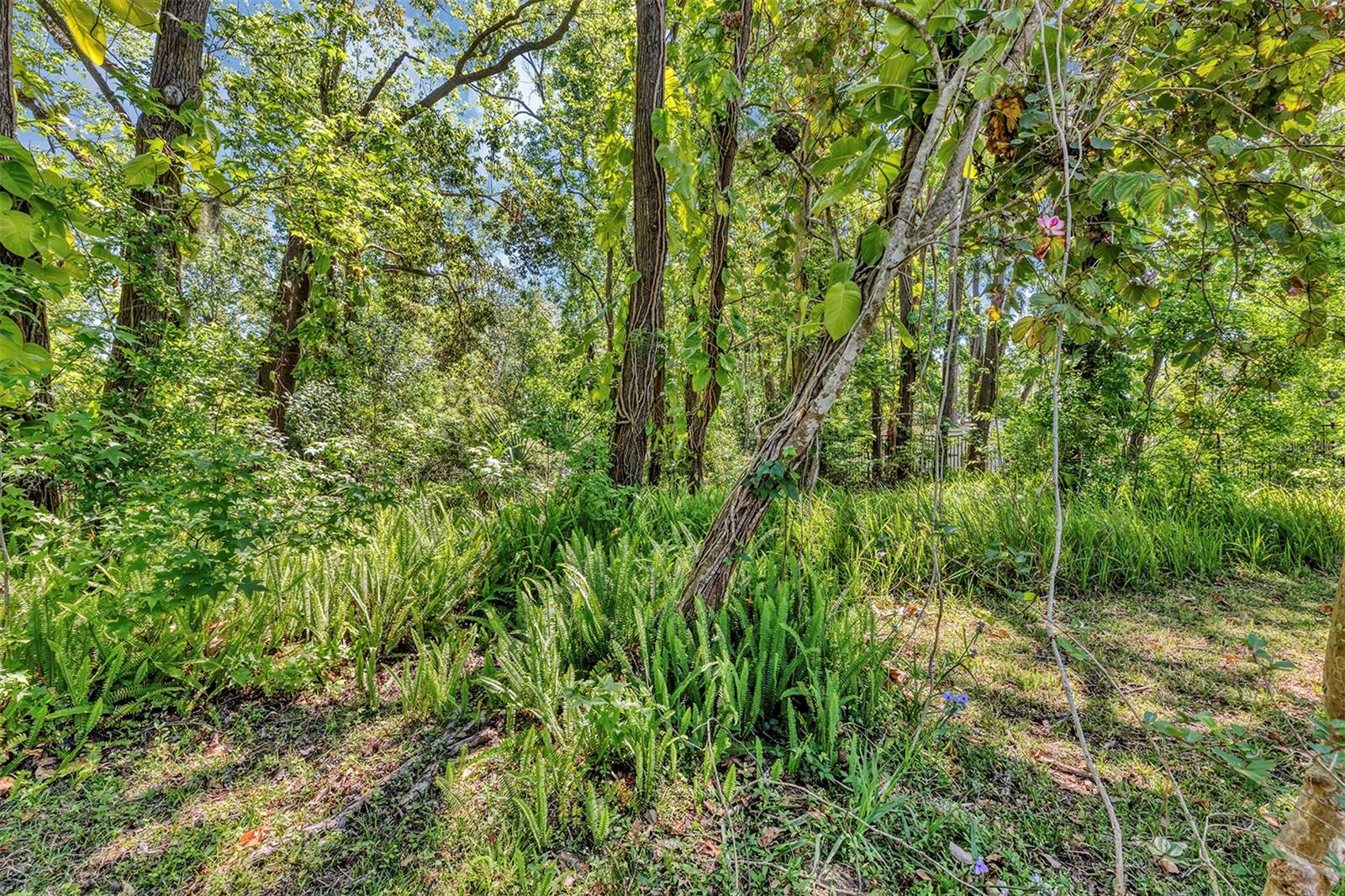 2416 BUCKINGHAM AVE, LAKELAND, FL, 33803