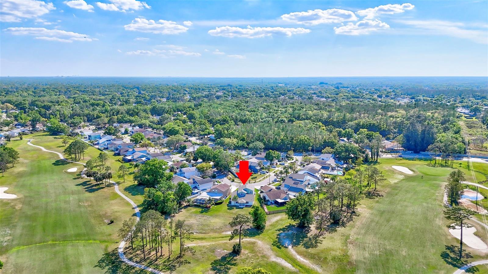 16153 GARDENDALE DR, TAMPA, FL, 33624