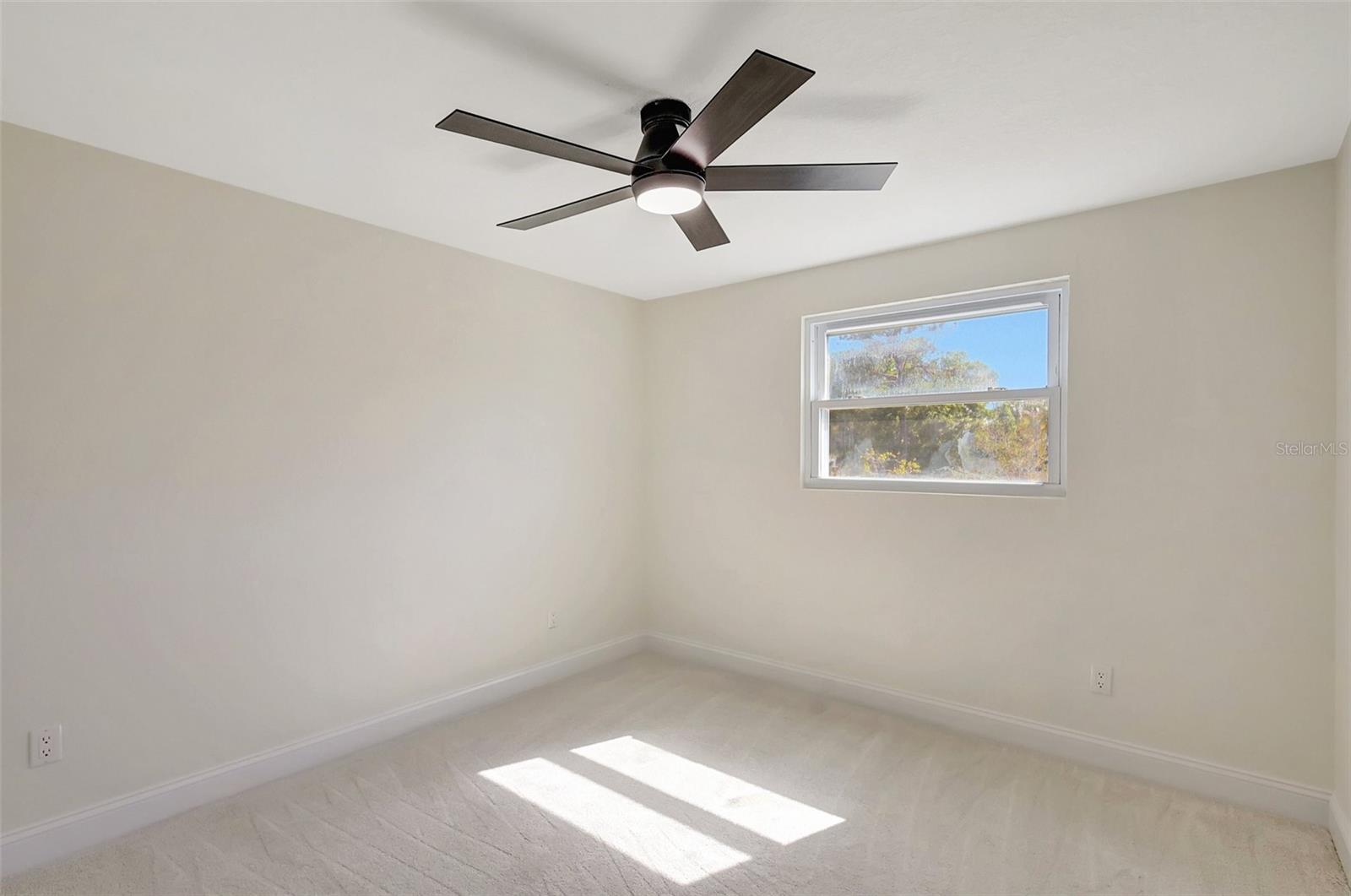 16153 GARDENDALE DR, TAMPA, FL, 33624