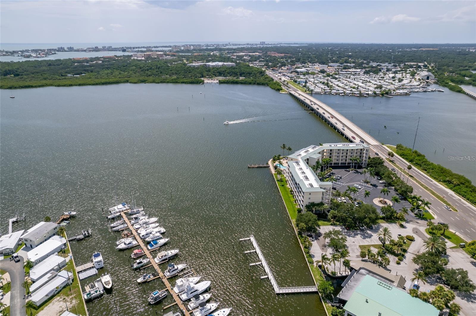 8800 BAY PINES BLVD #318, ST PETERSBURG, FL, 33709