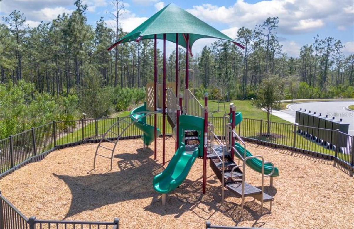 9771 BROWN BURROW ST, ORLANDO, FL, 32829
