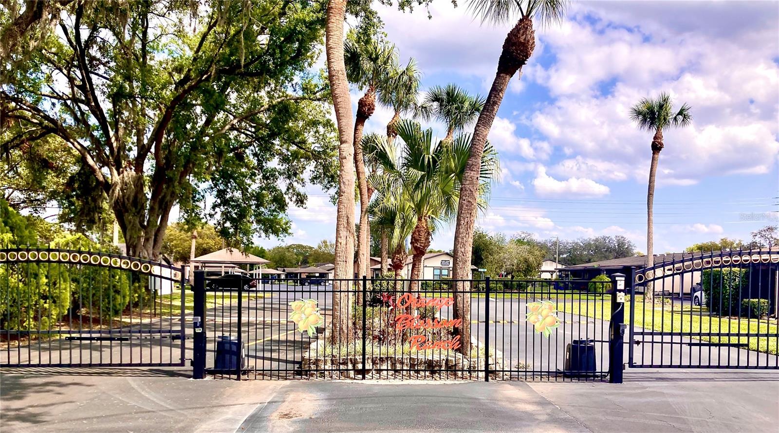 4558 BLOSSOM BLVD #D, ZEPHYRHILLS, FL, 33542