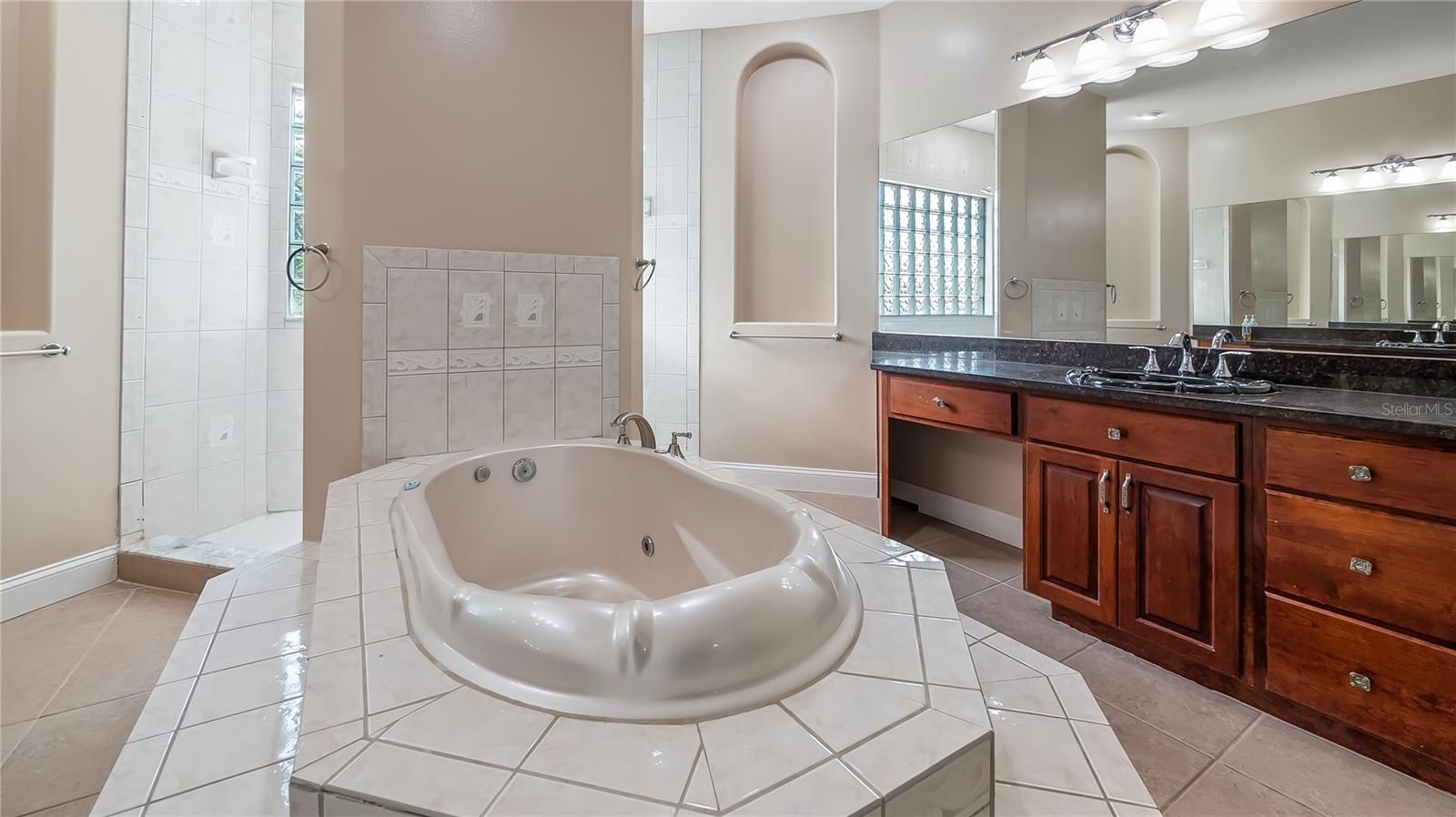 10651 ARROWTREE BLVD, CLERMONT, FL, 34715
