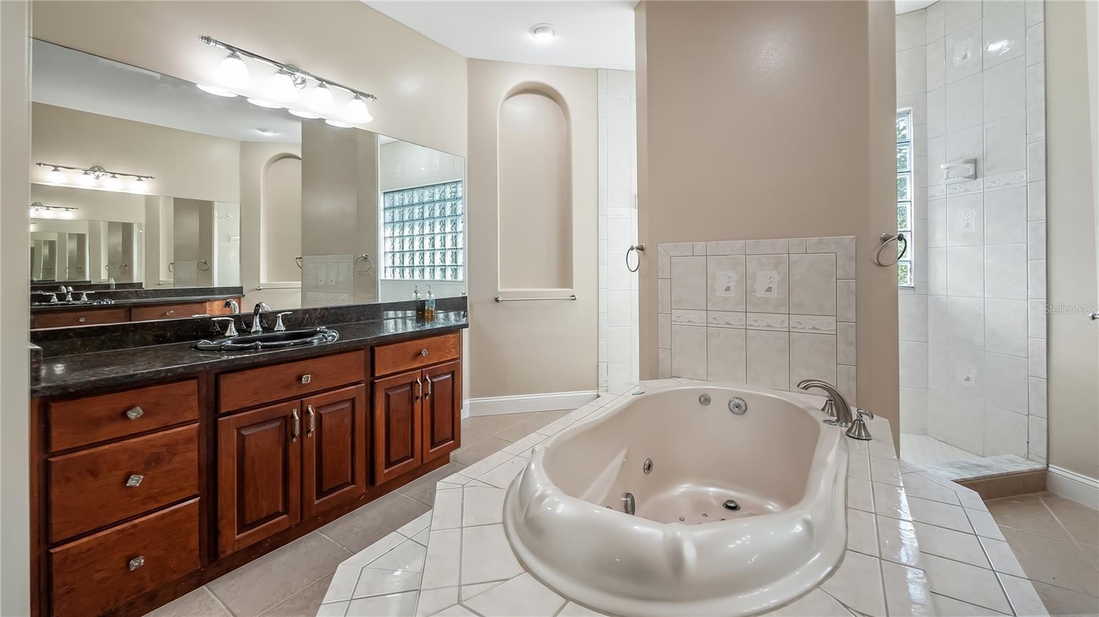 10651 ARROWTREE BLVD, CLERMONT, FL, 34715