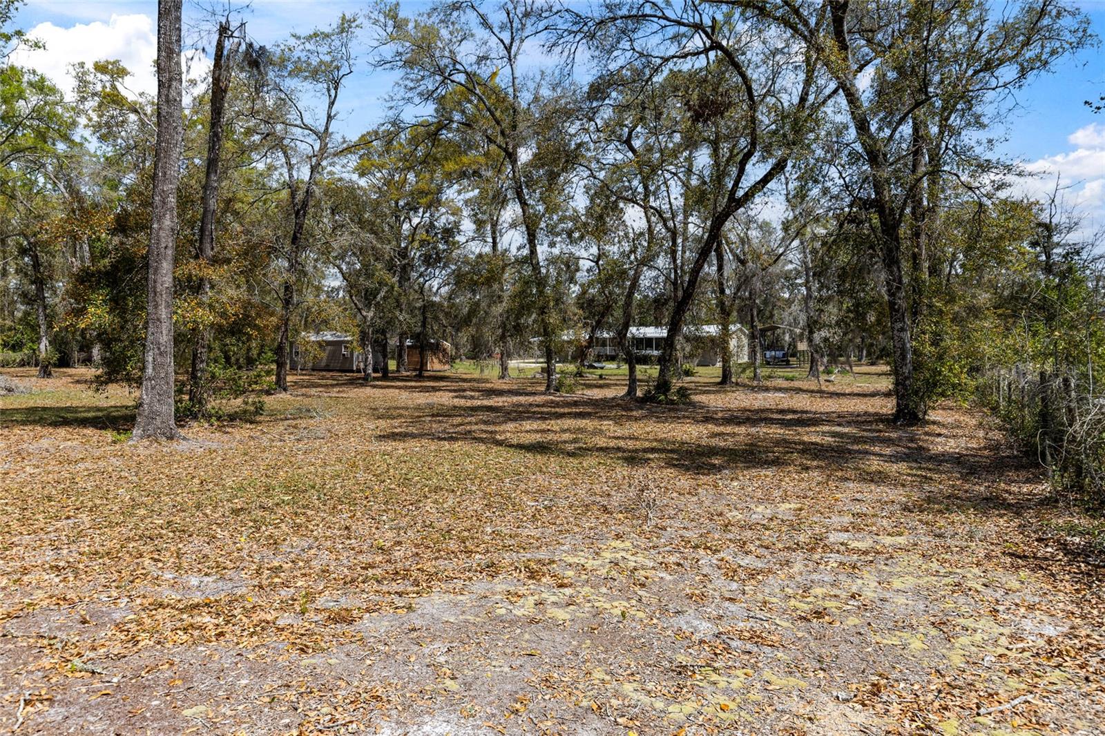 65 NE 565TH ST, OLD TOWN, FL, 32680