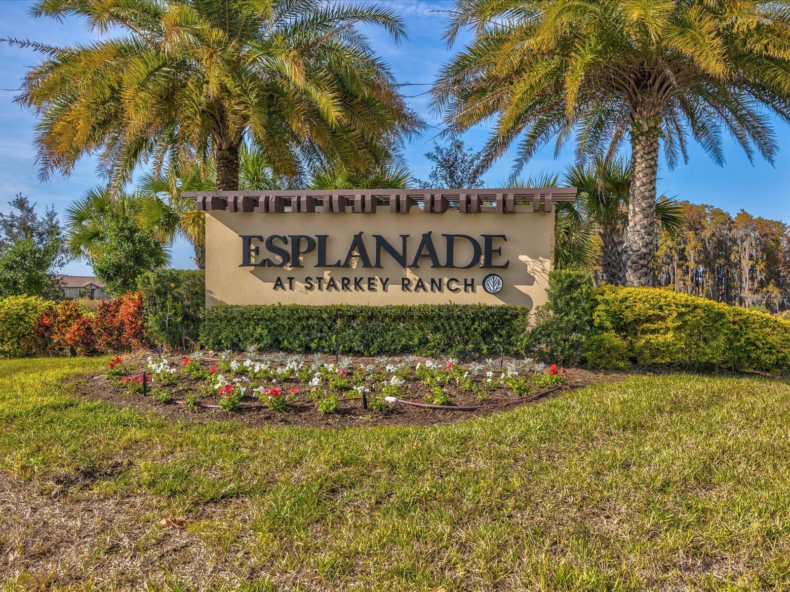 11248 JUGLANS DR, ODESSA, FL, 33556