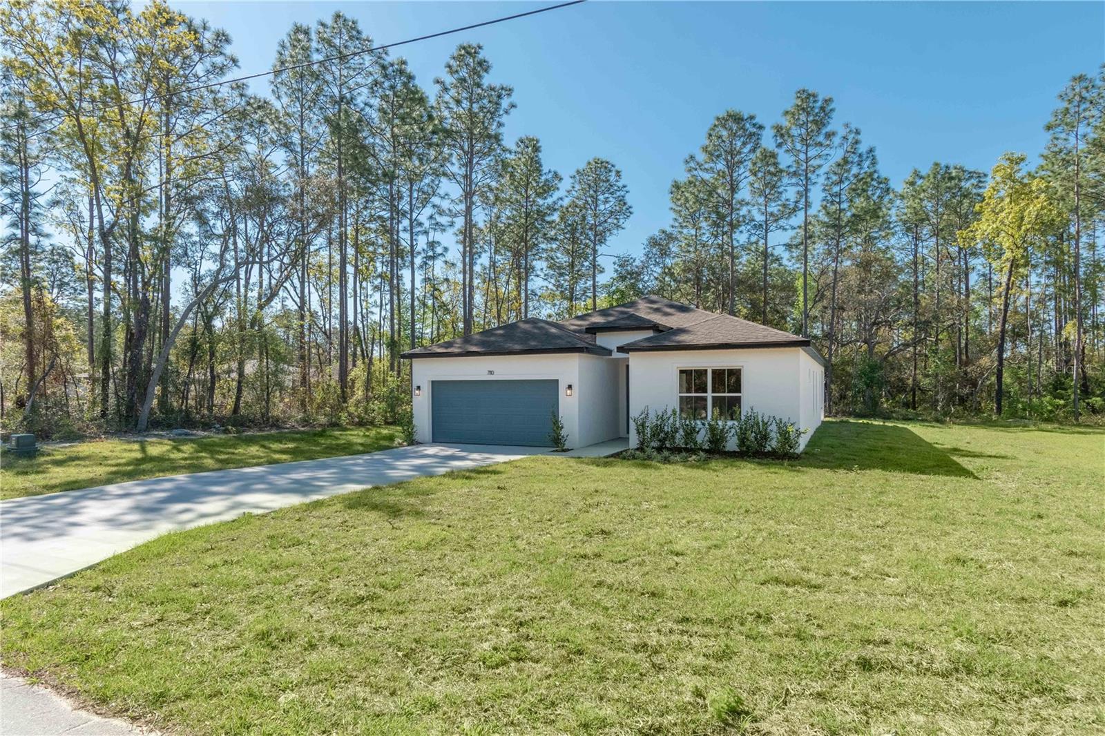 7110 SW 134TH ST, OCALA, FL, 34473
