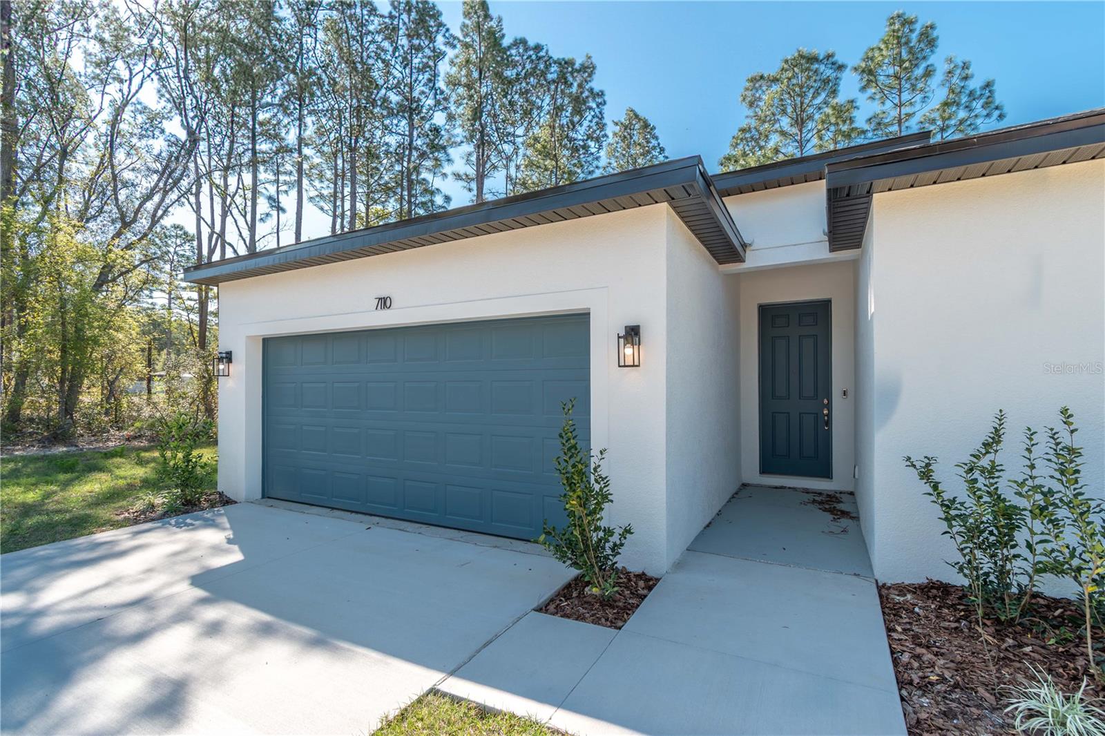 7110 SW 134TH ST, OCALA, FL, 34473