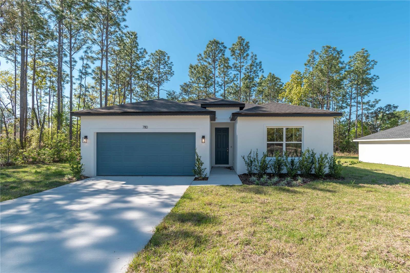 7110 SW 134TH ST, OCALA, FL, 34473