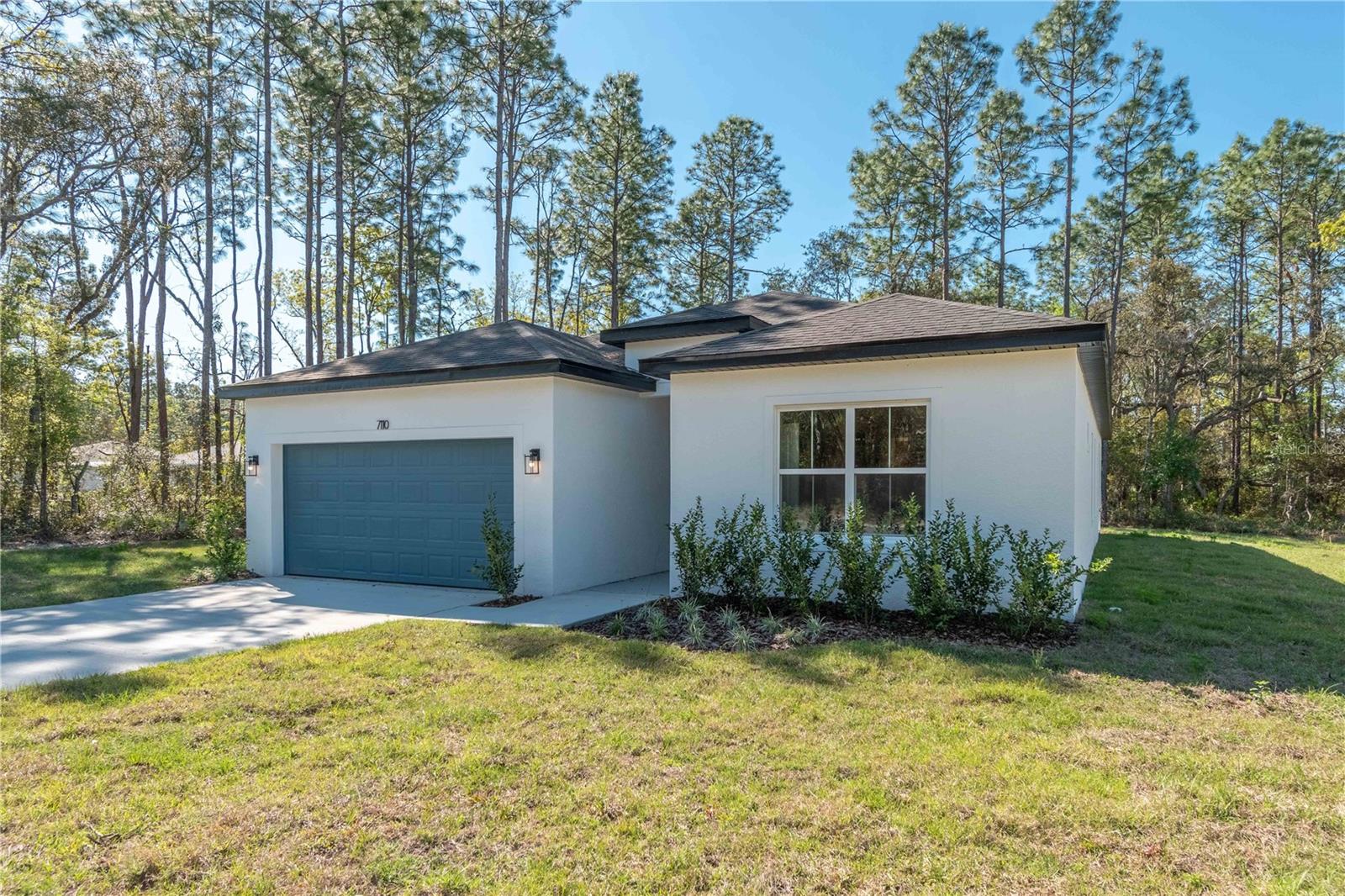 7110 SW 134TH ST, OCALA, FL, 34473