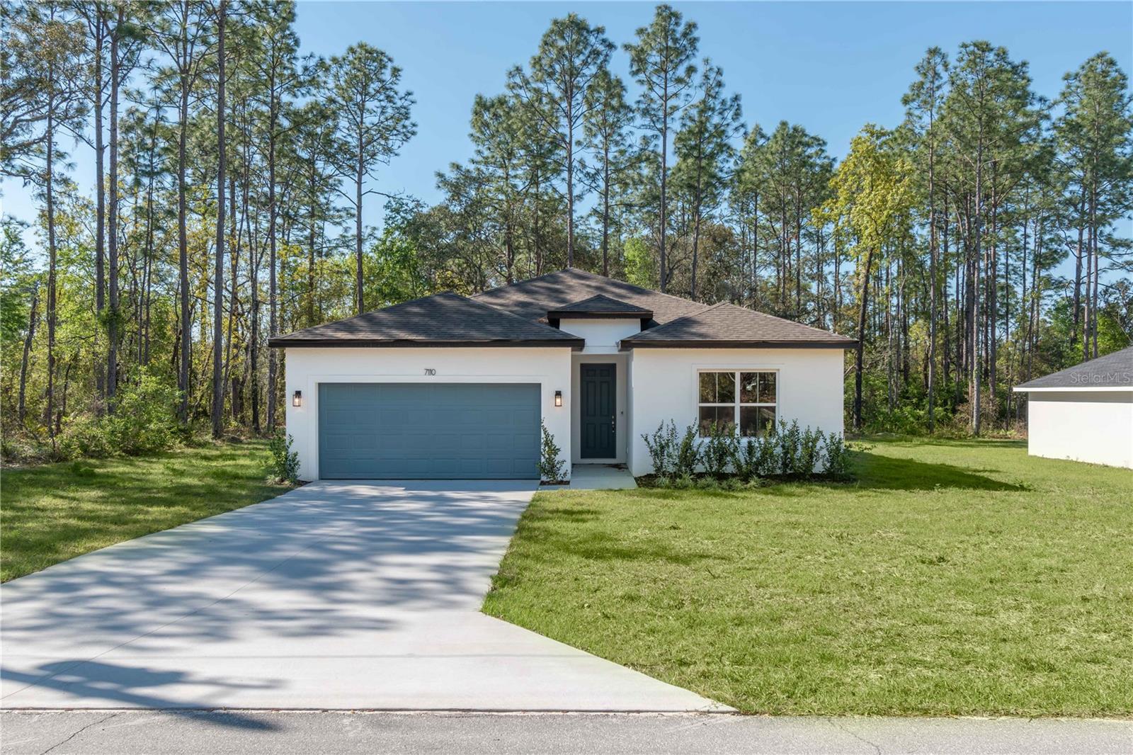 7110 SW 134TH ST, OCALA, FL, 34473