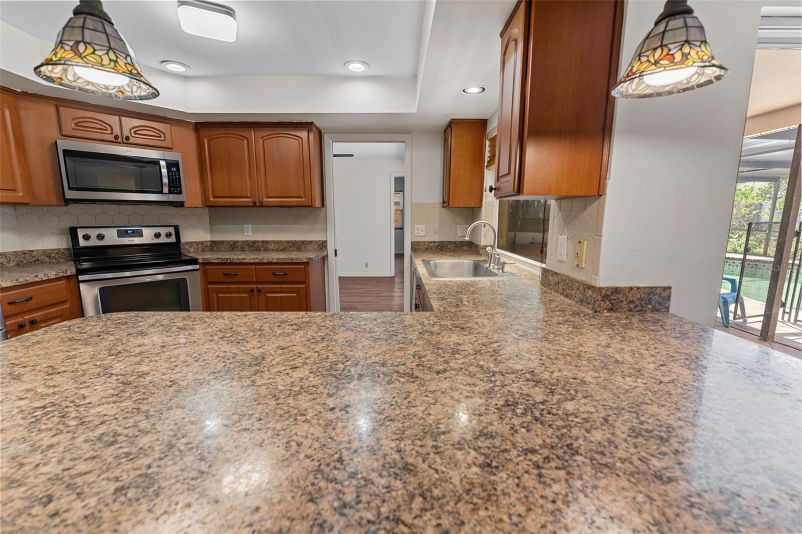 335 LAUGHING GULL LN, PALM HARBOR, FL, 34683