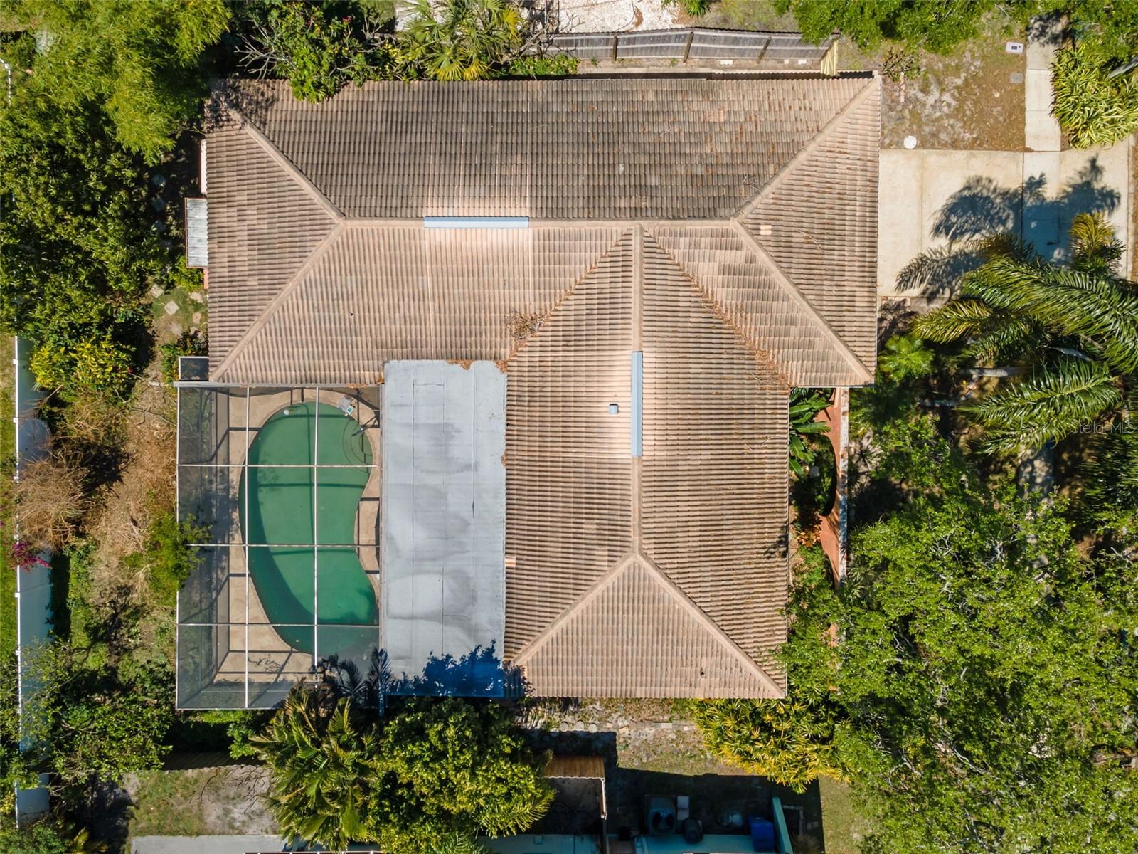 335 LAUGHING GULL LN, PALM HARBOR, FL, 34683