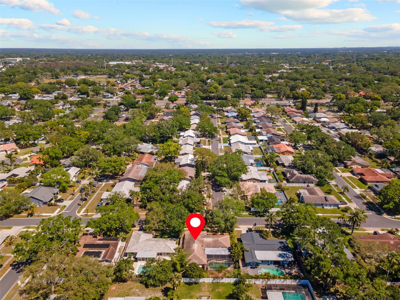 335 LAUGHING GULL LN, PALM HARBOR, FL, 34683