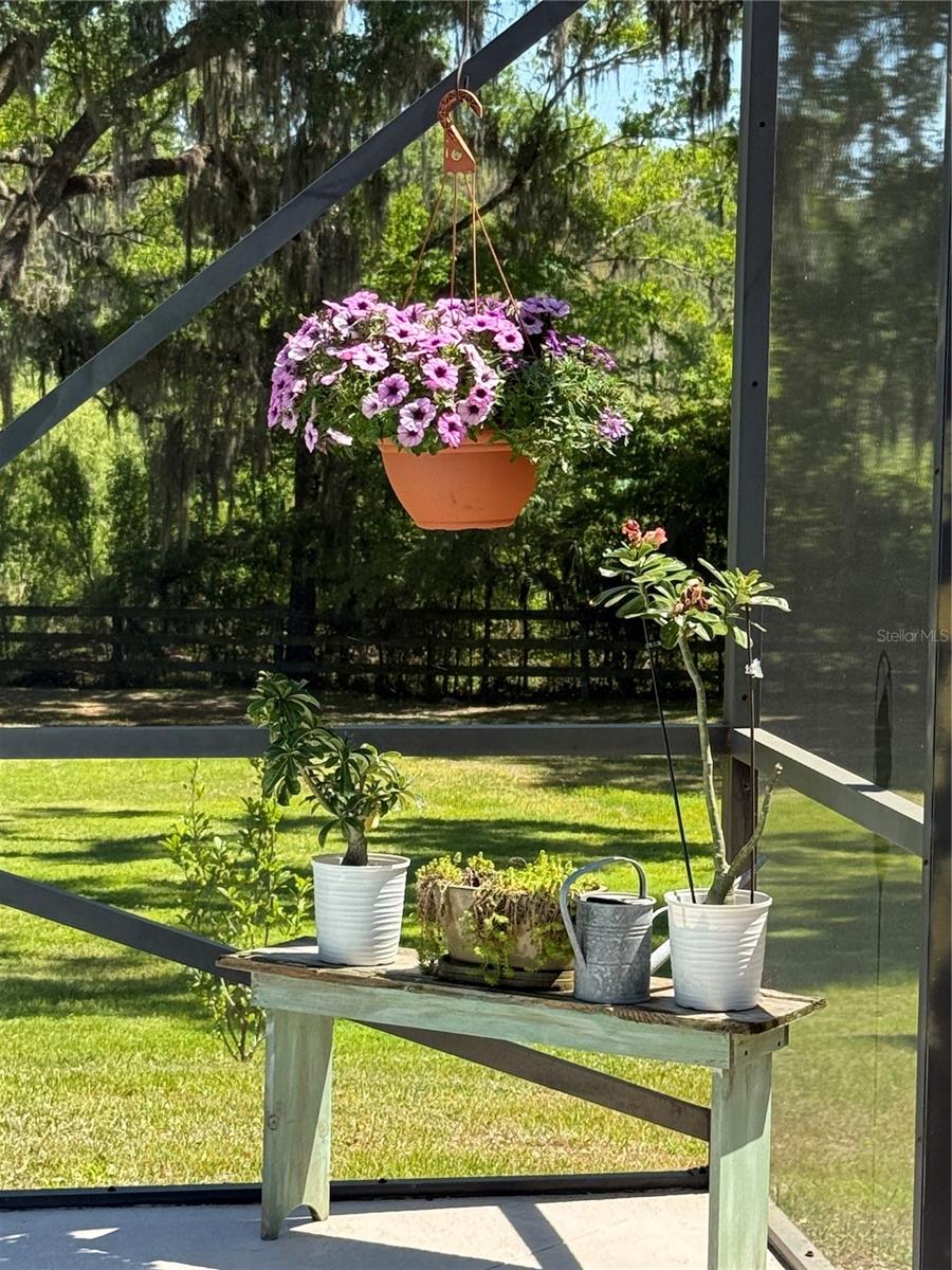 35 LAKE WOOD CIR, OCALA, FL, 34482