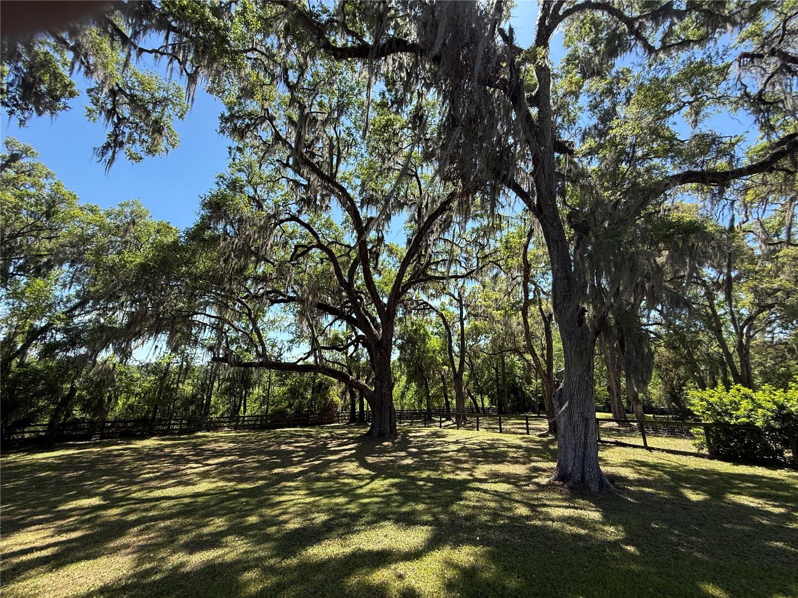 35 LAKE WOOD CIR, OCALA, FL, 34482