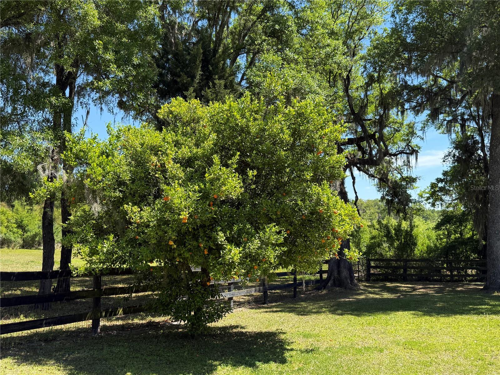35 LAKE WOOD CIR, OCALA, FL, 34482
