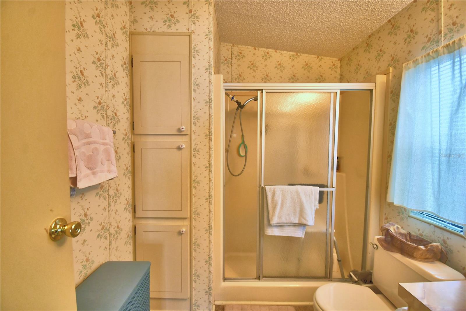 4241 CAMELIA ST, LAKE WALES, FL, 33898